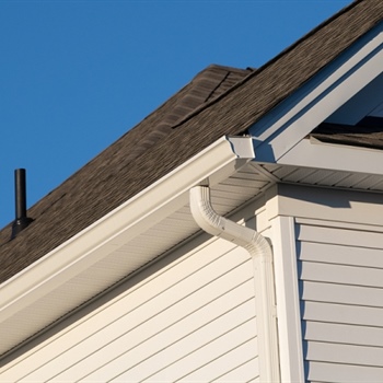 Gutters 101: Importance, Maintenance, & Upgrades