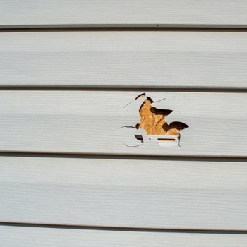 How Do You Decide Between Siding Repair or Replacement?