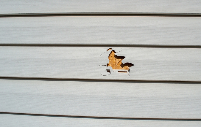 How Do You Decide Between Siding Repair or Replacement?