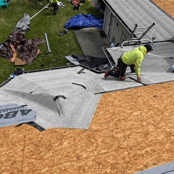 Maple Grove Flashing Restoration & Skylight Installation